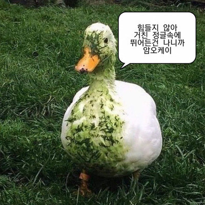 대성장의개발 이미지