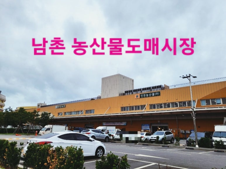 남촌뷔페식당 이미지