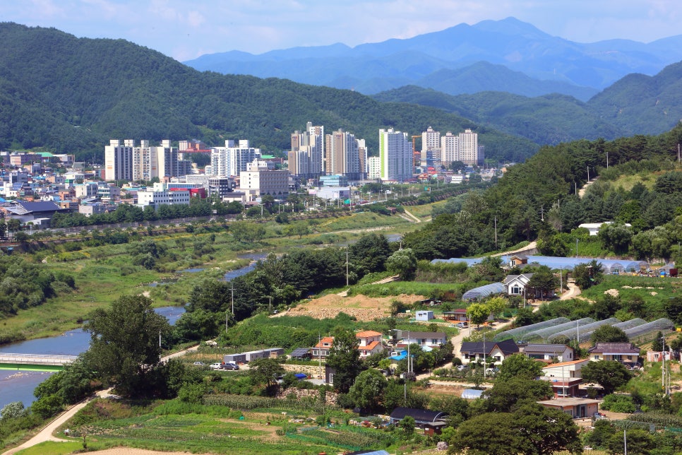 아미산숲센터 이미지