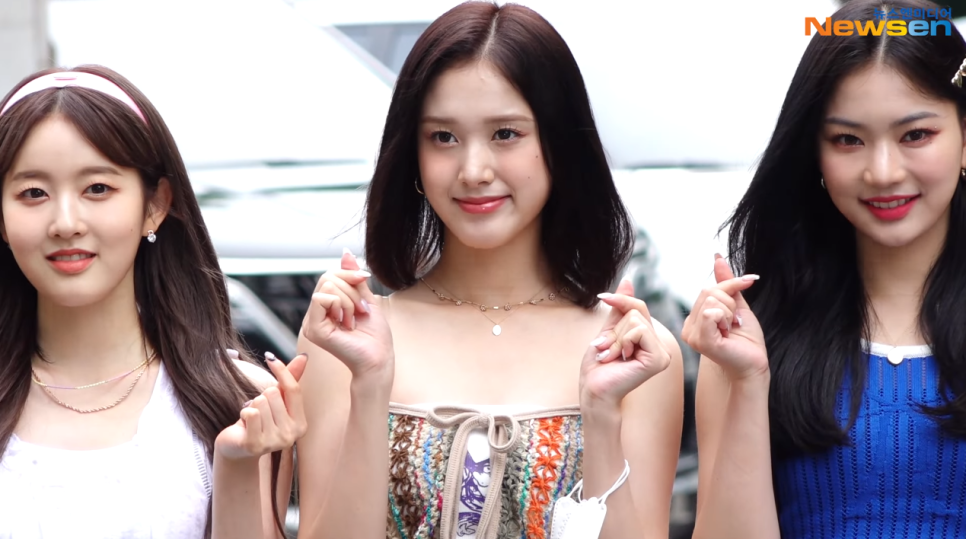 블랙팬시 이미지