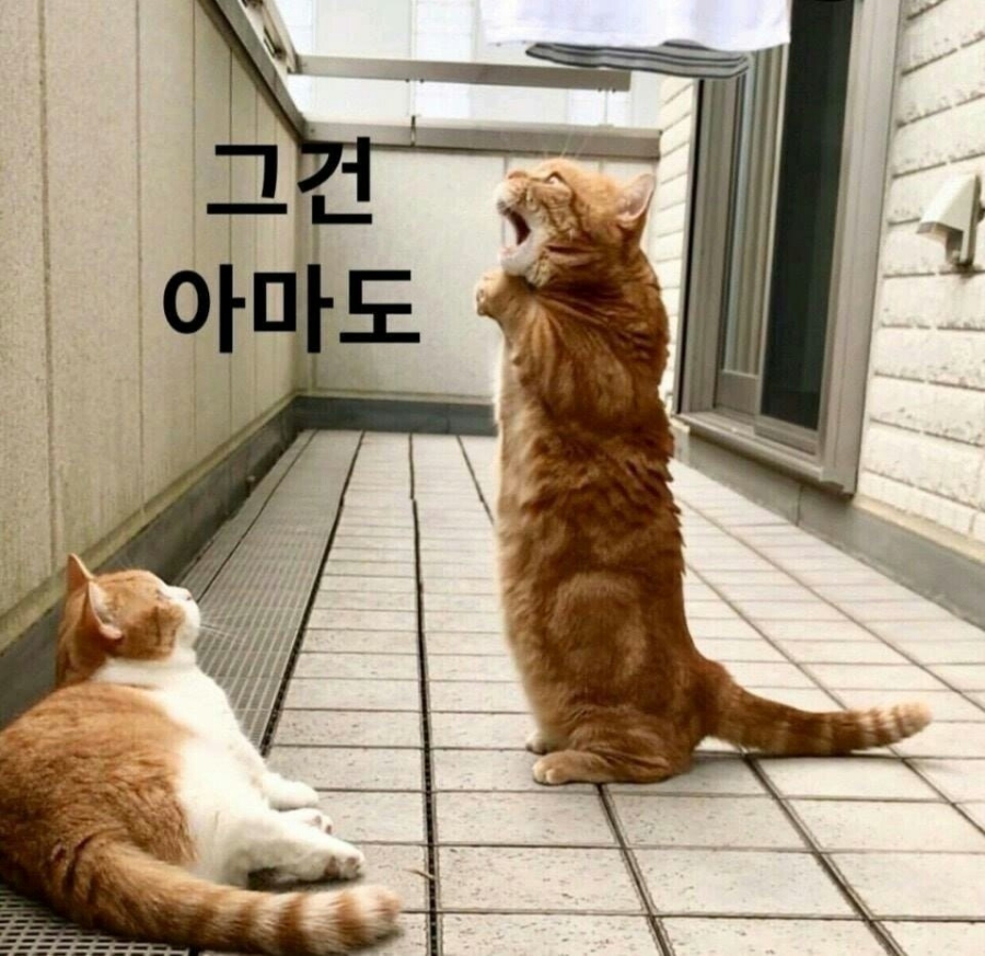 스타노래연습장 이미지