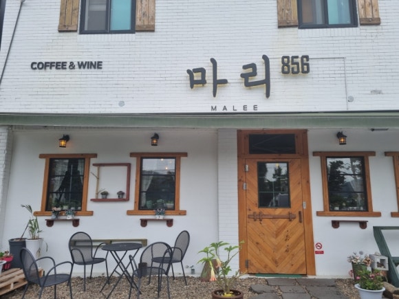마리856 이미지