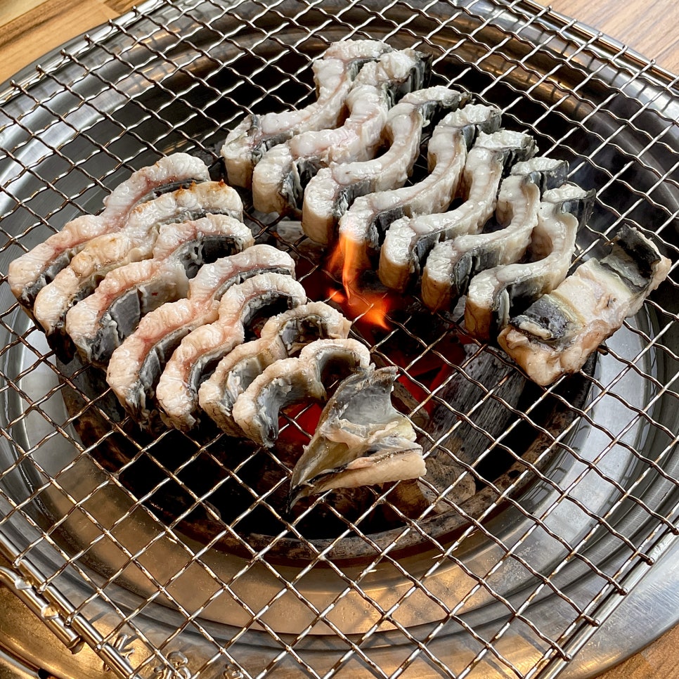 폭풍장어중동 이미지