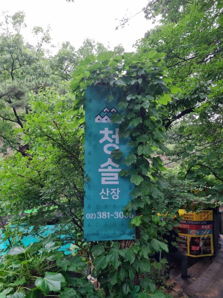 청솔로스 이미지