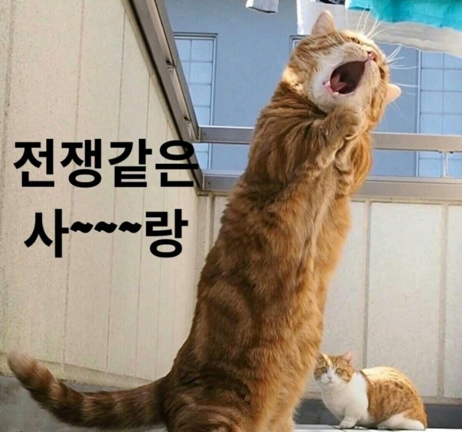 탑코인노래연습장 이미지