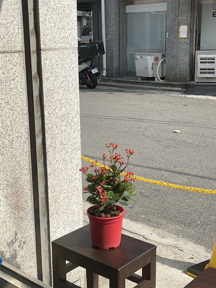 ToFFu(토푸) 이미지