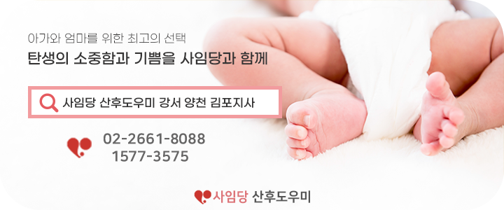 사임당 강서지사 이미지