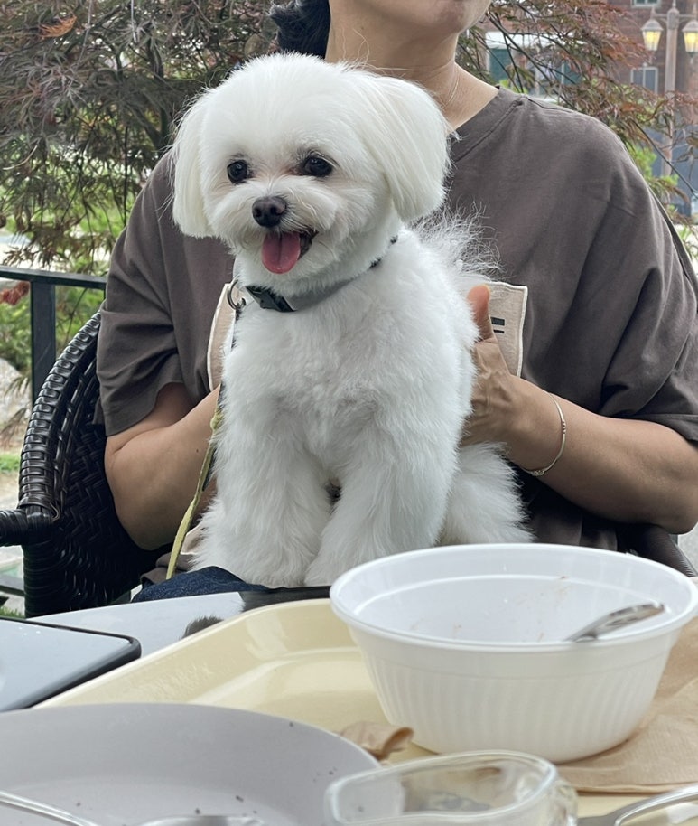 카페 엘(CAFE L) 이미지