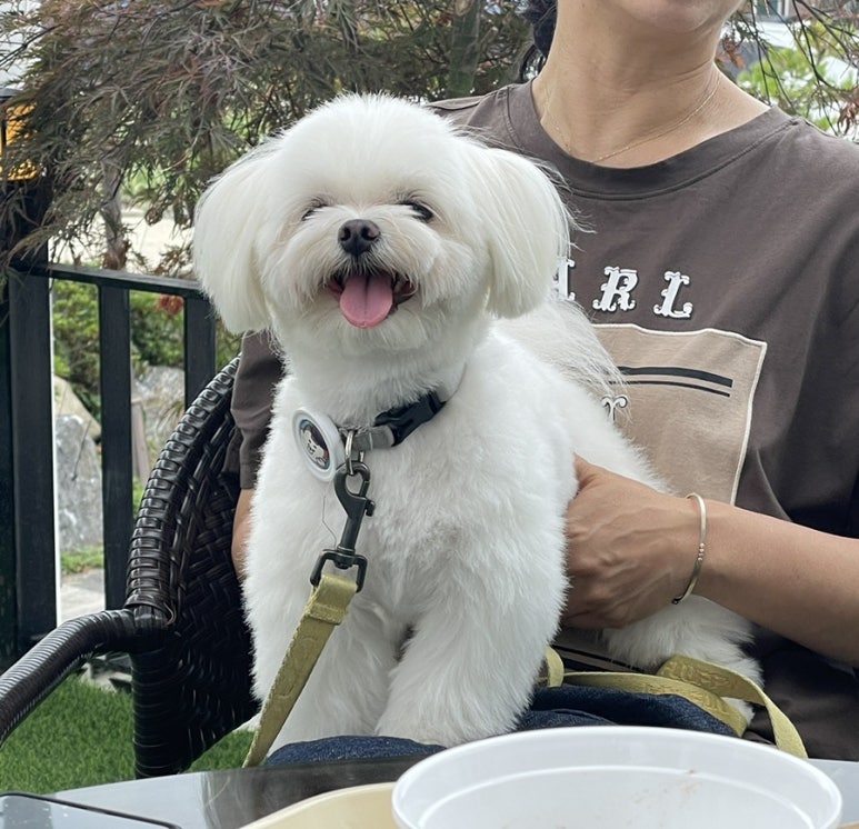 카페 엘(CAFE L) 이미지