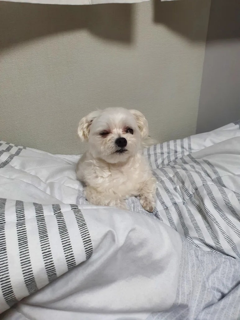 우지커피 인천삼산점 이미지