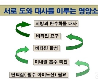 세모푸드 이미지