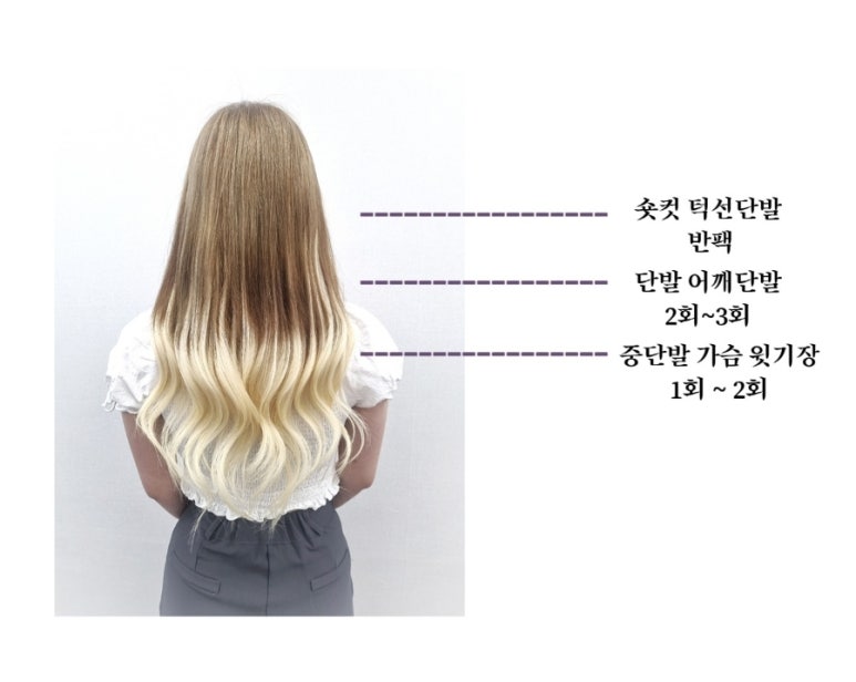 블랑쉬붙임머리 이미지