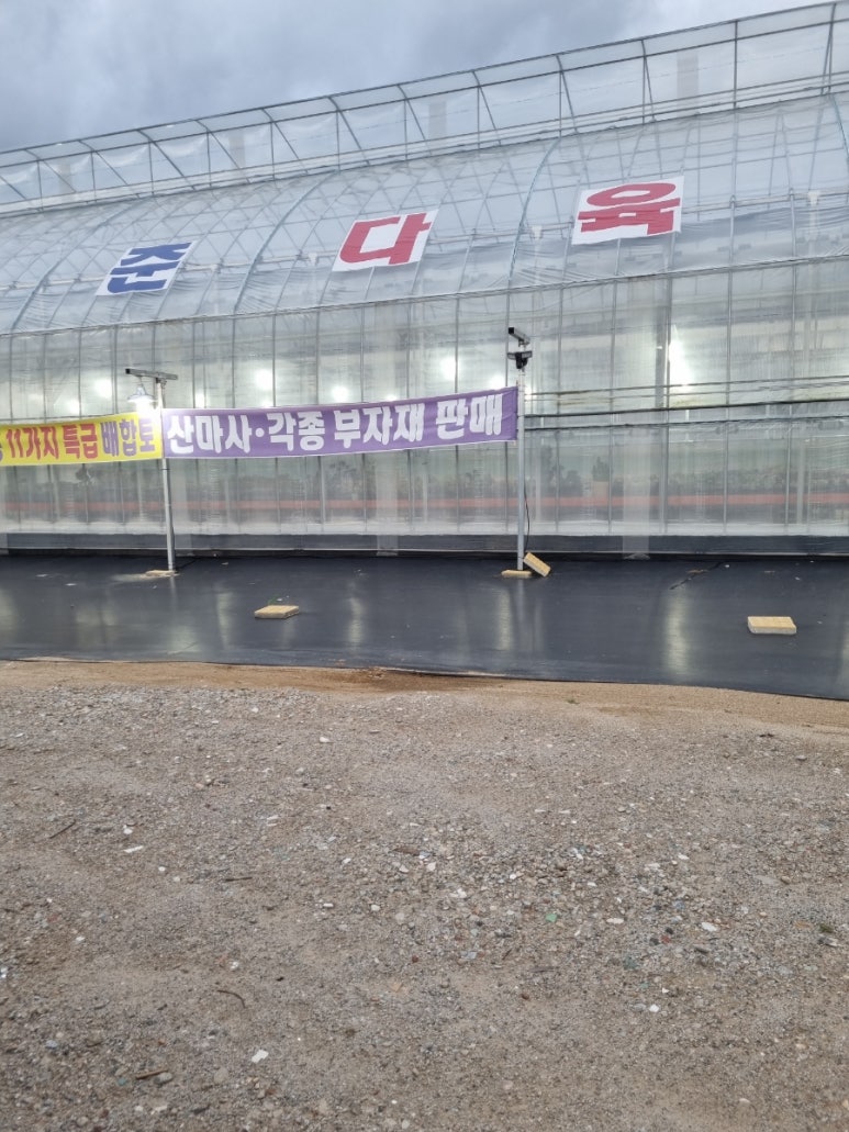 준다육 이미지