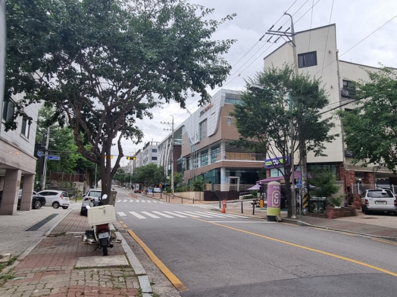 캣츠래쉬 이미지