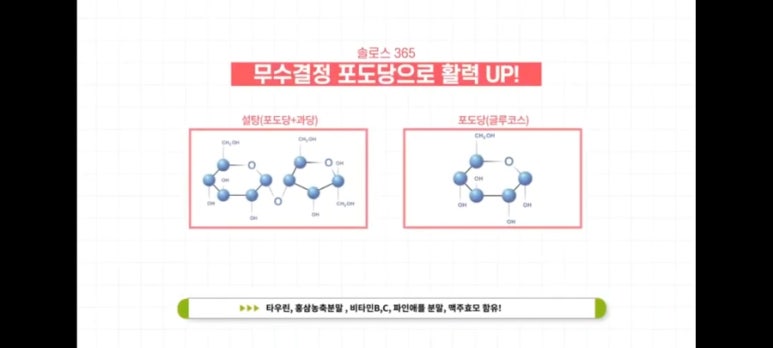 비지비코리아 이미지