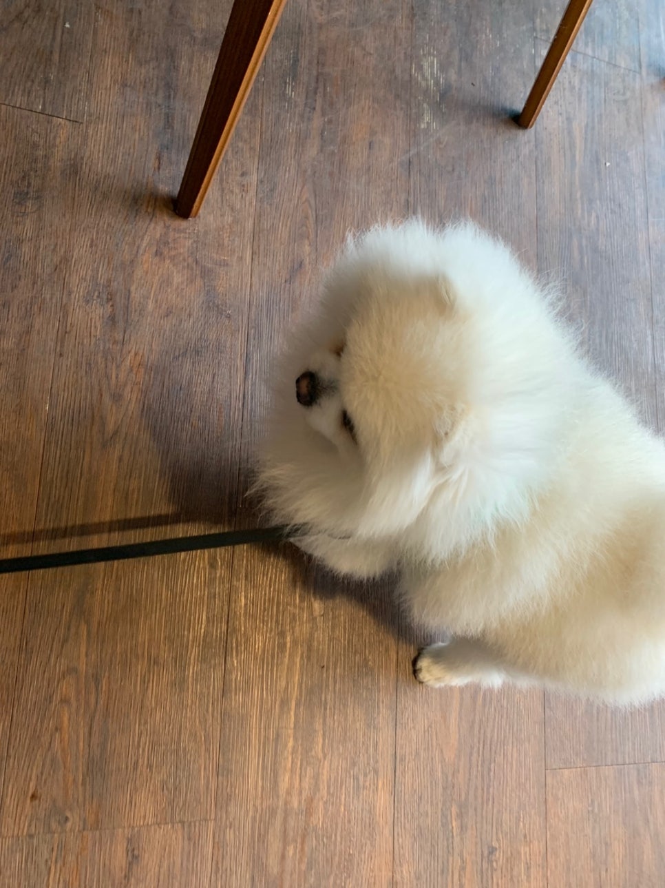 카페투유 이미지