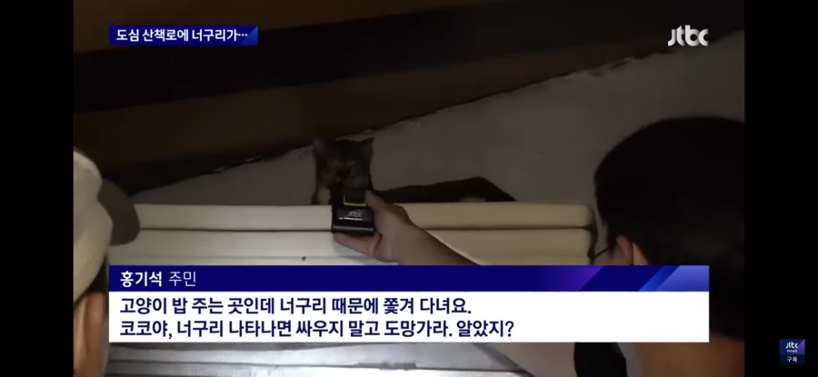 사랑에어컨 이미지