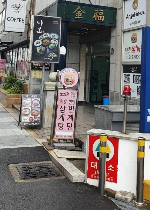 비지빈 이미지