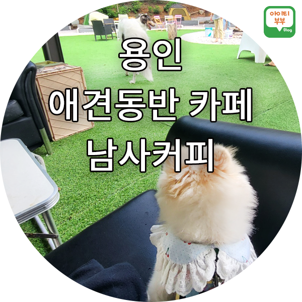 남사커피 이미지