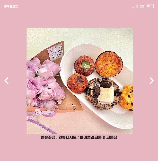 아이올라피움 이미지