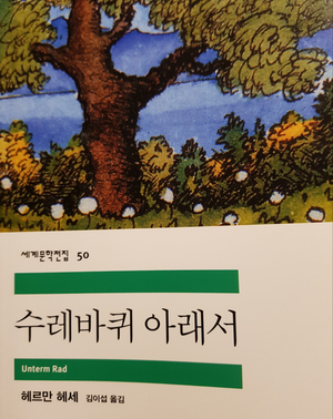 김나시온 이미지