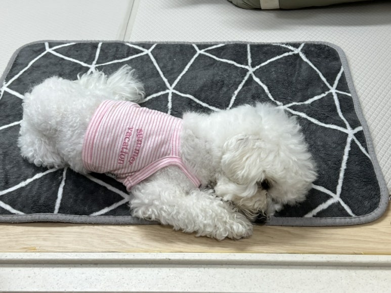 레스트오브 이미지