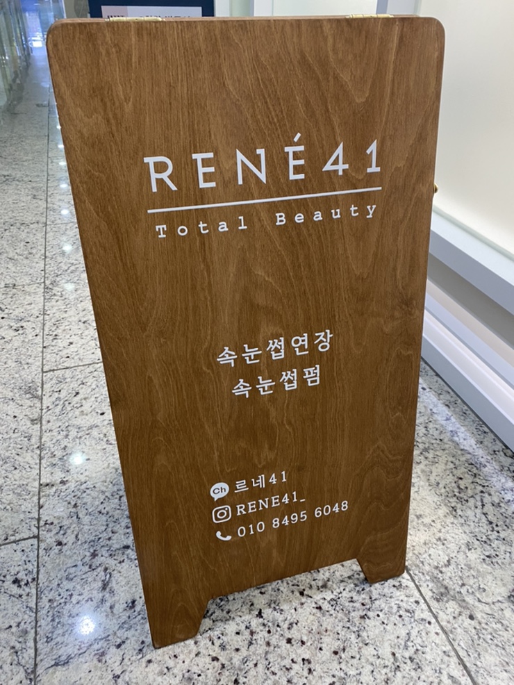 르네41 이미지