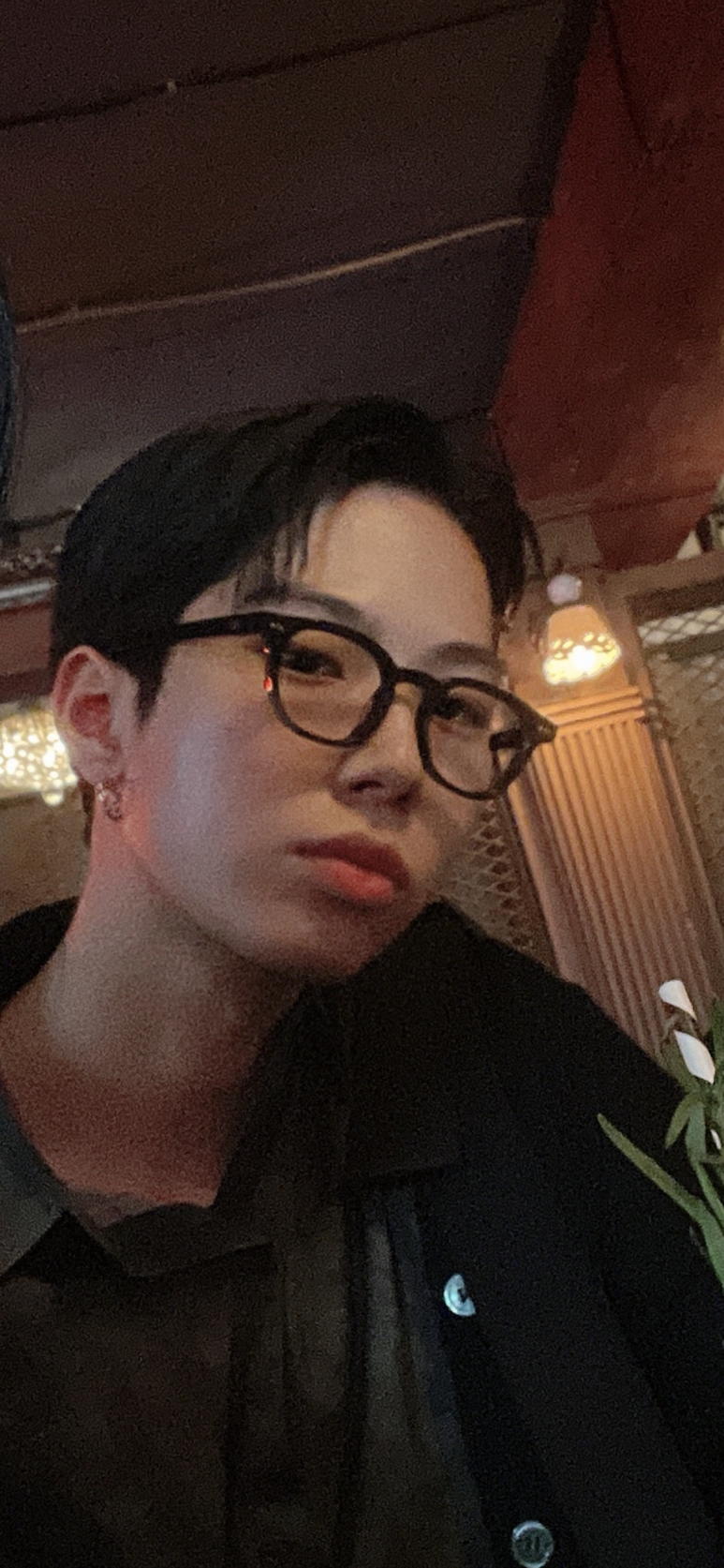 프리모디자인 이미지