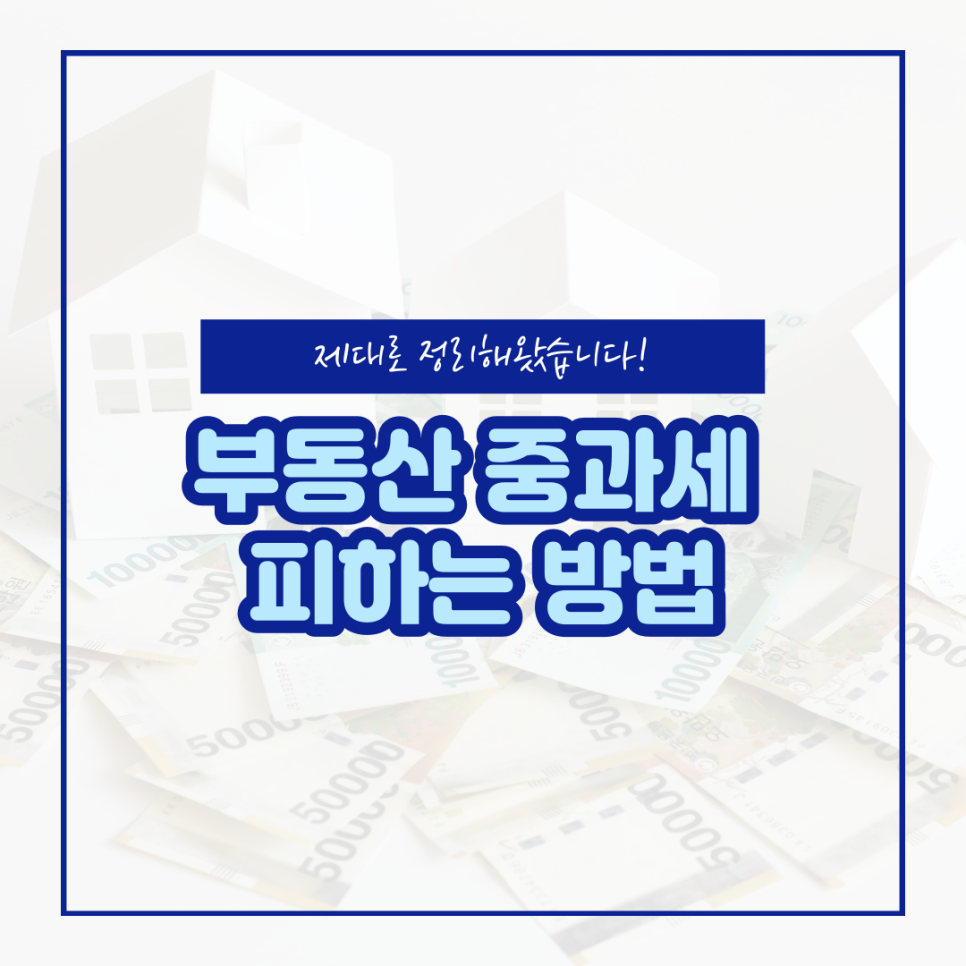 하상법인 이미지