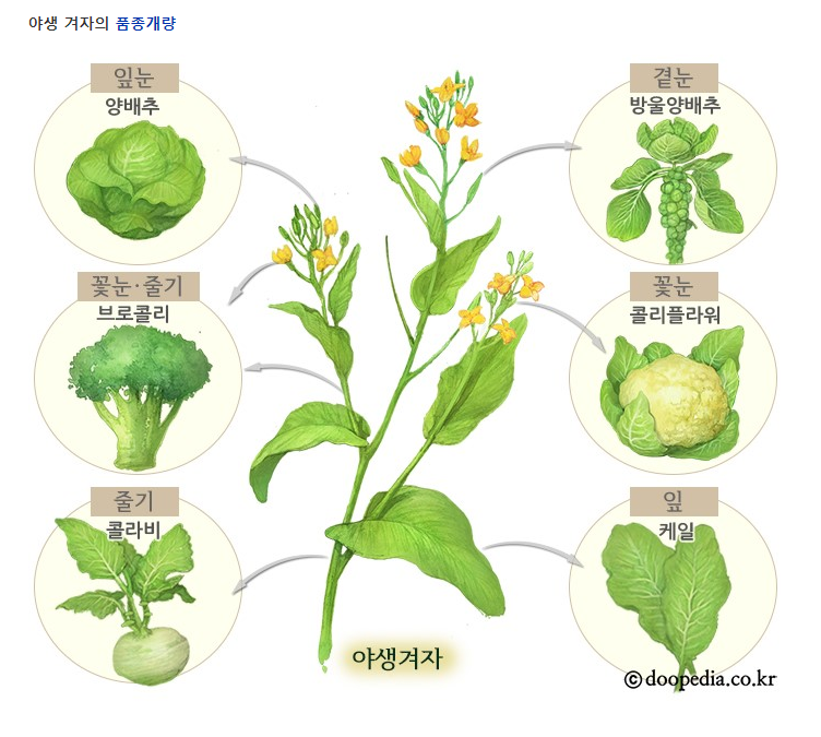 뉴그린 이미지
