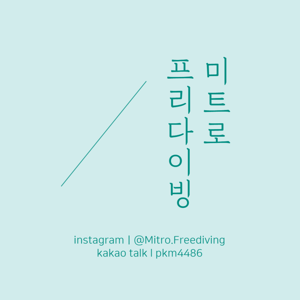 팀케이다이브 이미지