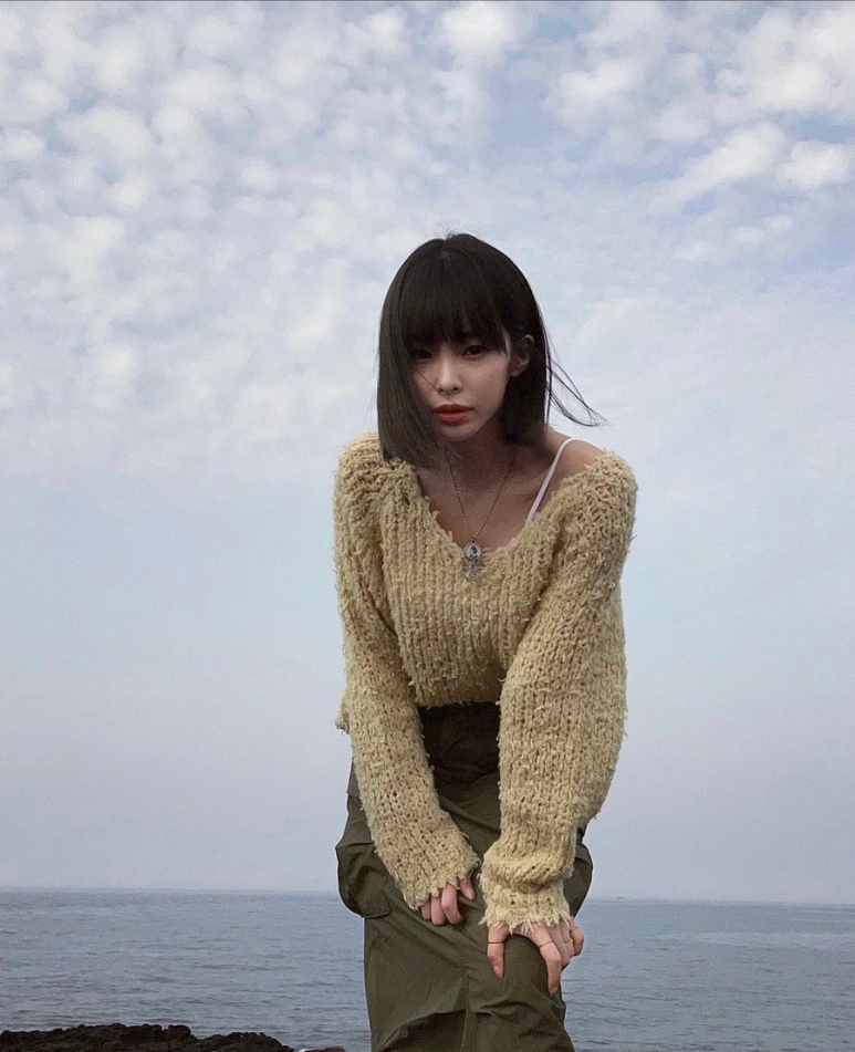 일로헤어 이미지