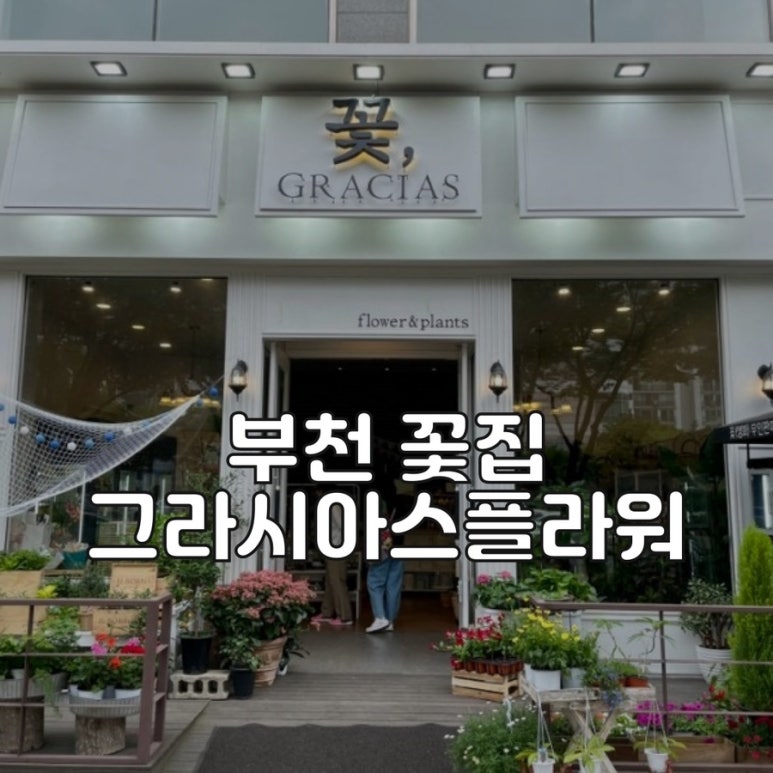 그라시아스꽃집 이미지