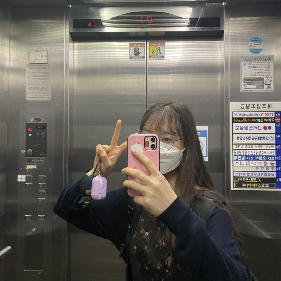 다미국시 이미지