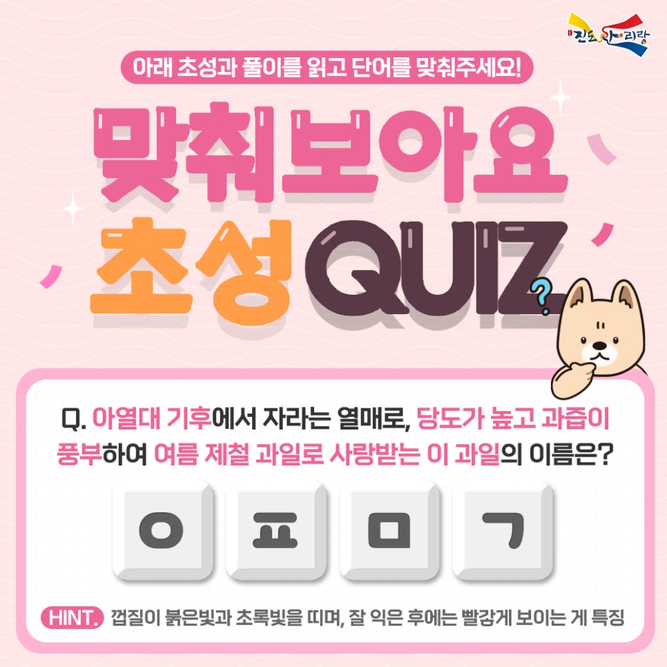 아리랑이벤트 이미지