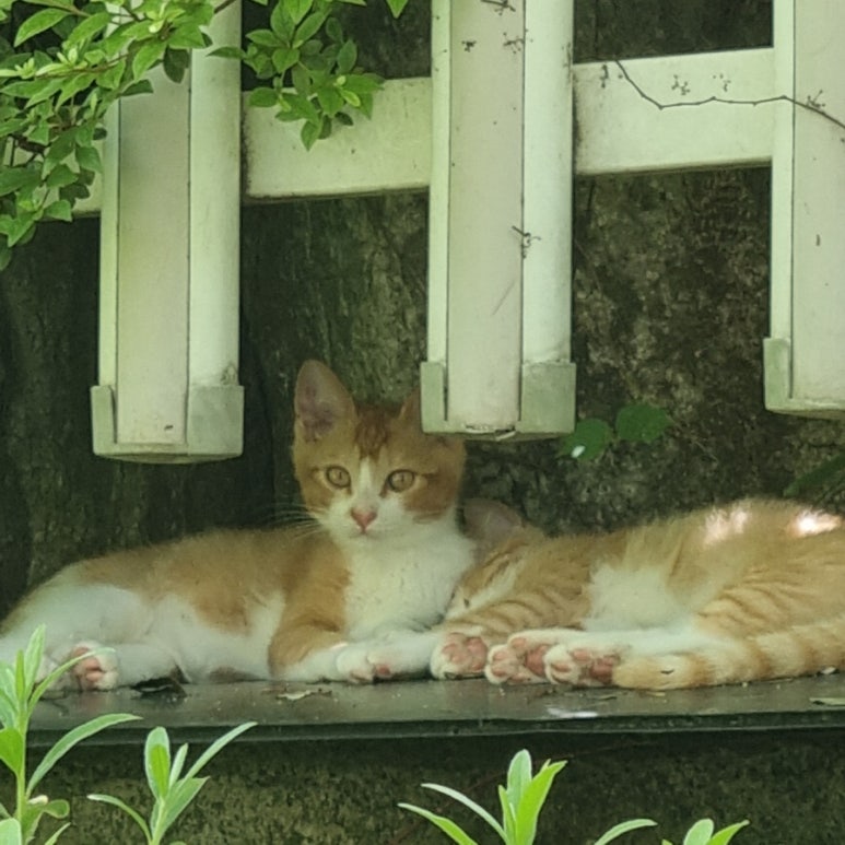 타코비김해 이미지
