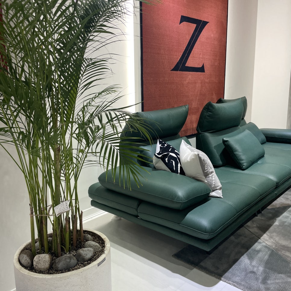 디자인ZEEBE 이미지