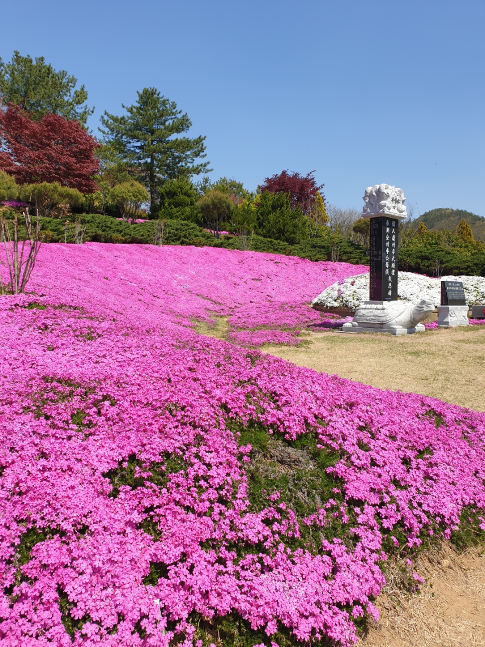 동산잔디 이미지