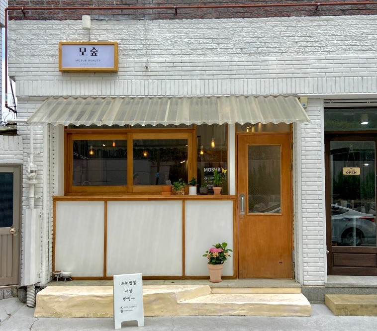 모숲 이미지