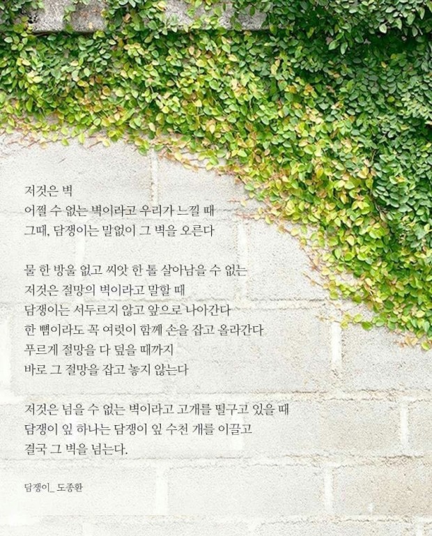 담쟁이 베이커리 이미지