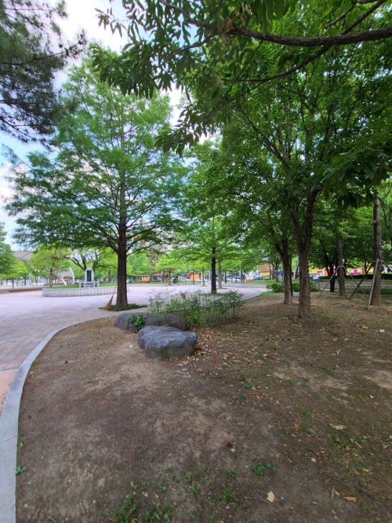 성서아울렛공원 이미지