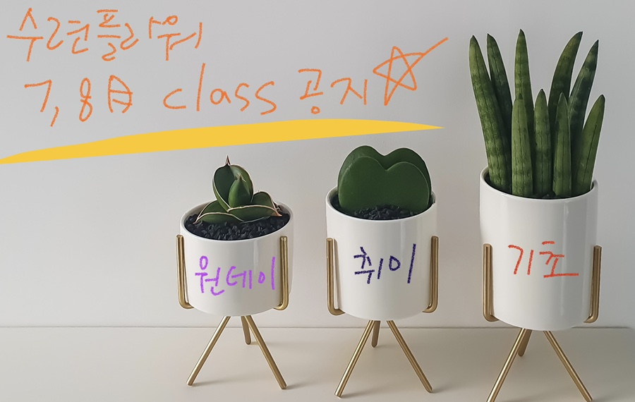 수련플라워 이미지