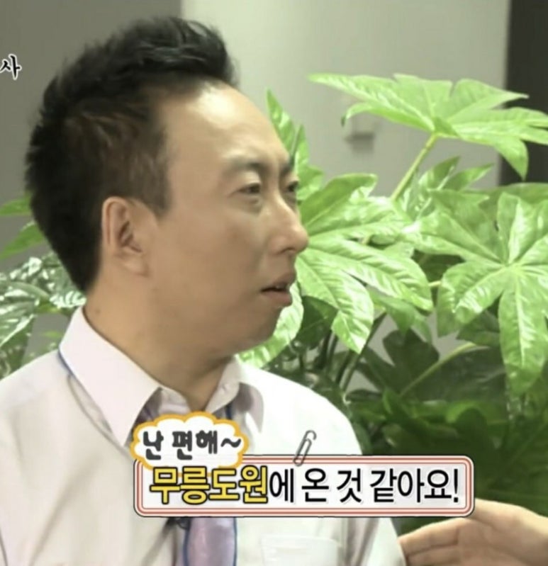 (주)내돈내산 이미지