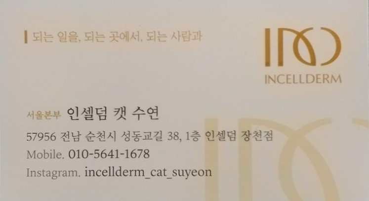 미소해 인셀덤 이미지