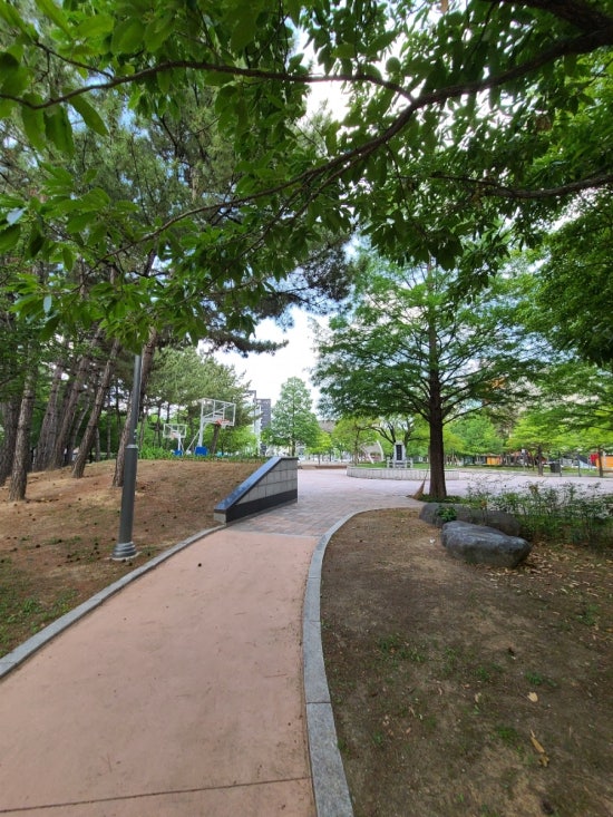 성서아울렛공원 이미지