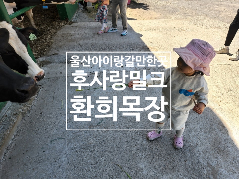 후사랑밀크(환희목장) 이미지