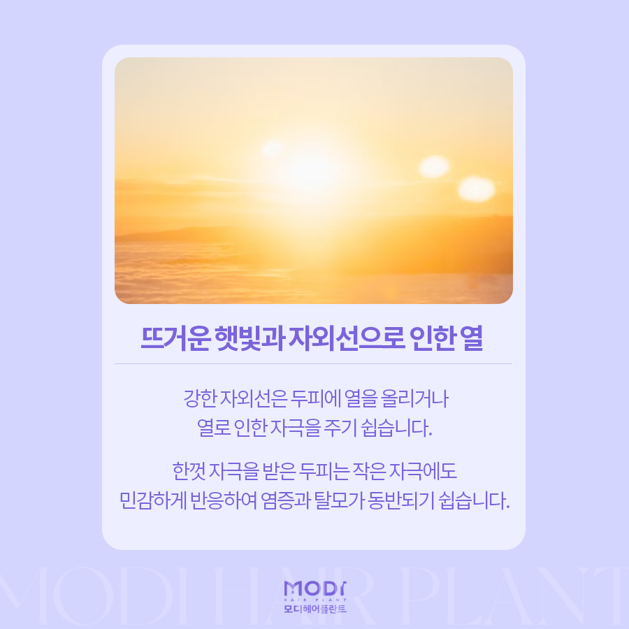 모디헤어 이미지