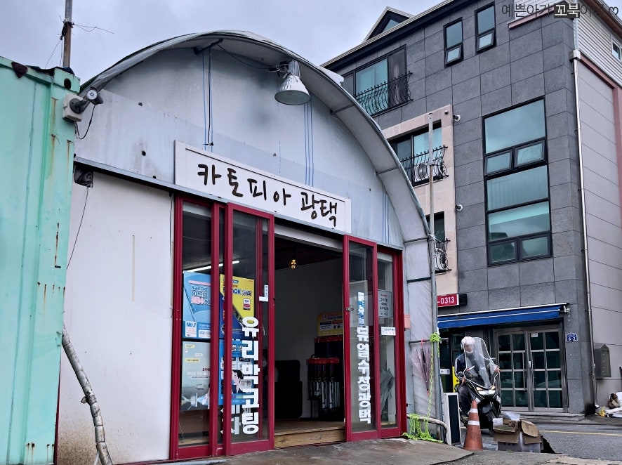 카토피아손세차 이미지