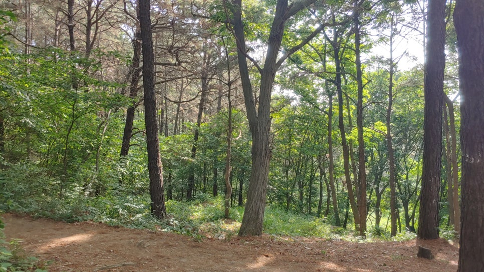 아름다운 산책 이미지