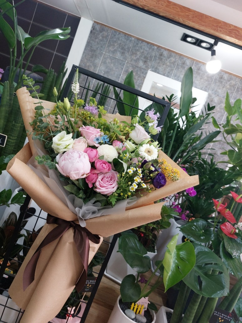 풀림화원 이미지